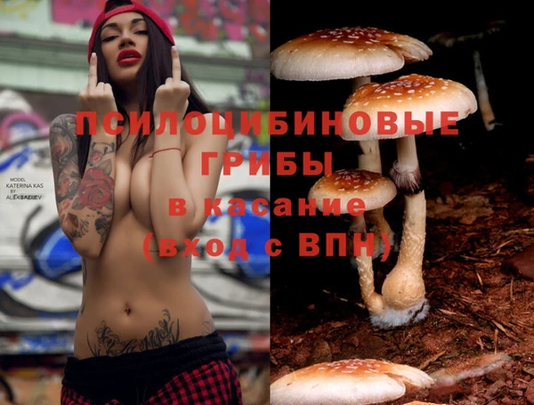 твердый Алзамай