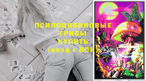 твердый Алзамай