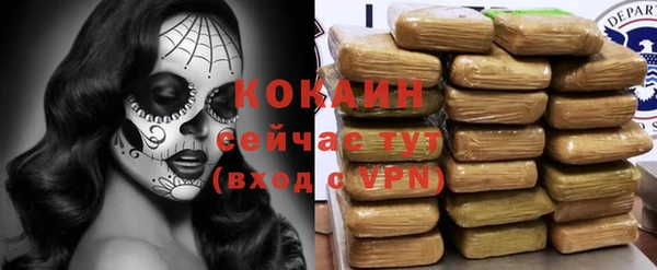 винт Алексин