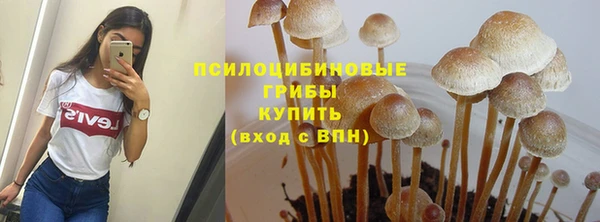 метамфетамин Алексеевка