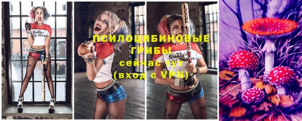 винт Алексин