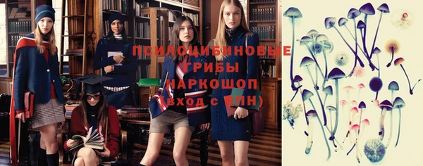 метамфетамин Алексеевка