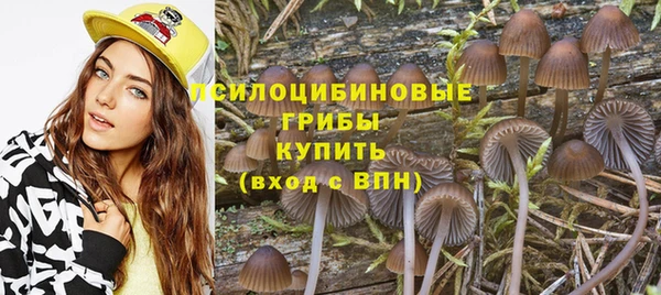 твердый Алзамай