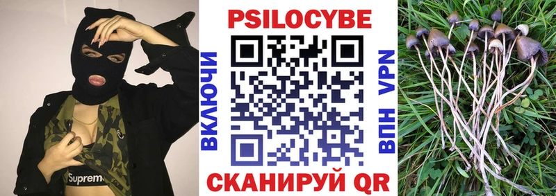 Купить закладки Севск Псилоцибиновые грибы Psilocybe